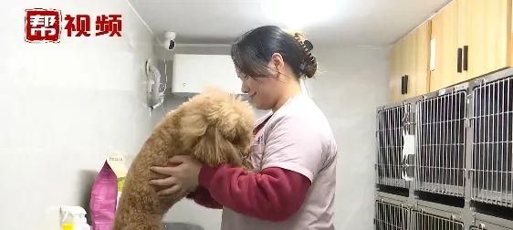 DƬ